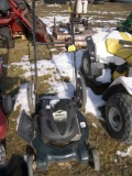 Bolens Push Mower