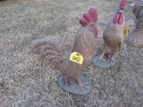 Concrete Chicken