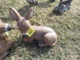 Concrete Laying Doe