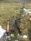 3 Hydraulics Cylinders