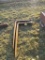 Pallet Forks