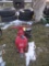 Gorman-Rupp 2in Water Pump