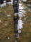 Boat Motor