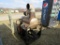 Hotsy Pressure washer