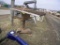Table Saw