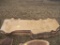 Live Edge 6ft Slabs