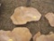 Live Edge 3ft Slabs