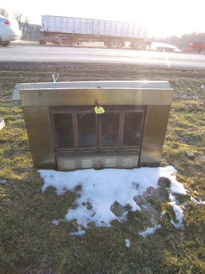 Fire Place Insert