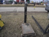 Platform Scale