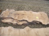 Live Edge 8ft Slabs