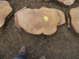 Live Edge 3ft Slabs