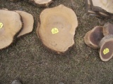 Live Edge Small Slabs