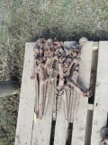 Lot of Chain Binders