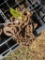 Log Chain