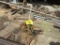 Bench to Pipe Vise