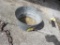 Small Galvanized Tub