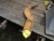 Tooth
