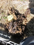 Log Chain