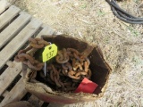 Heavy Chain