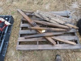 Lot of Single Trees