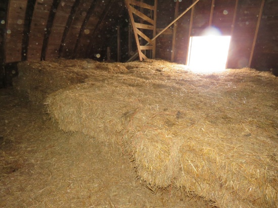 Approx 700 +/- Bales of Oat Straw