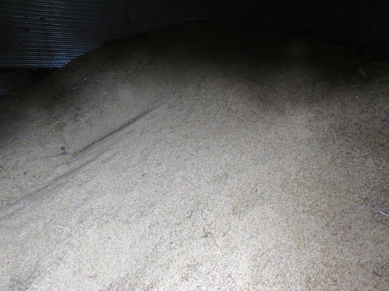 Quantity of Oats in Grain Bin