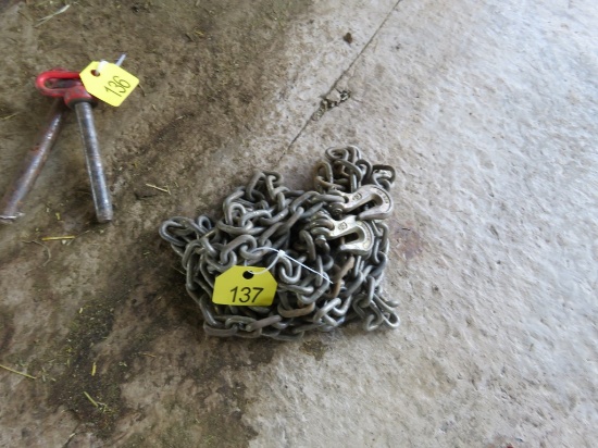 24ft Log Chain
