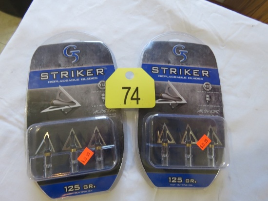 2 Packs of Striker Replaceable Blades
