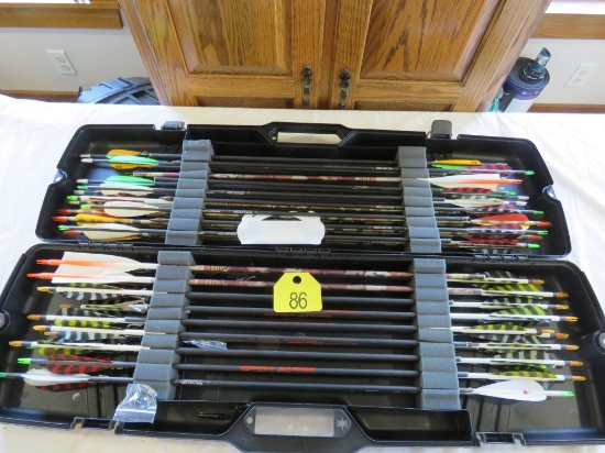 Case w/Assorted Arrows