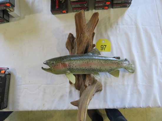 Mounted Fish