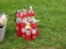 Lot of Fire Extinguishers
