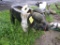 Concrete Pig Planter