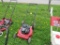 Murray Push Mower
