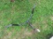 Ball Hitch