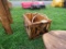 Planter Box