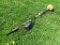 Poulan PP338PT Weed Wacker/Pole Saw