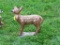 Concrete Deer