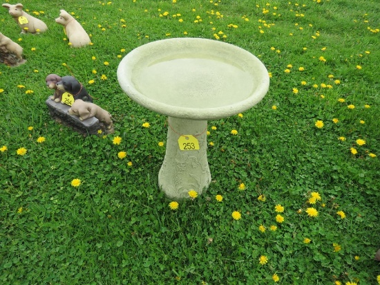 Bird Bath