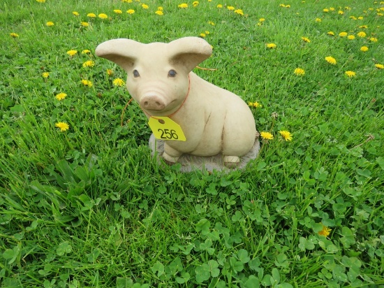 Pig