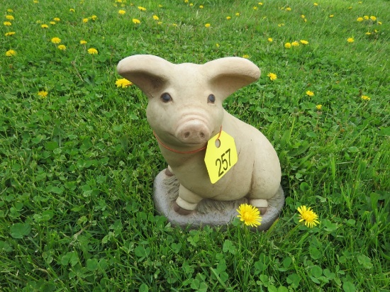 Pig