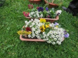 2 Planters of Mixed Flowers
