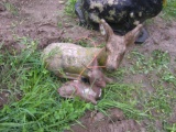 Doe and Fawn Statue