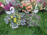 2 Mixed Flower Hanging Baskets