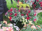 2 Mixed Flower Hanging Baskets