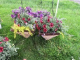 2 Mixed Flower Hanging Baskets w/Stands