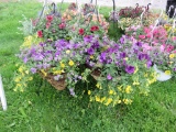 2 Mixed Flower Hanging Baskets w/Stands