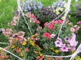 2 Mixed Flower Hanging Baskets