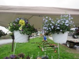 2 Mixed Flower Hanging Baskets