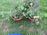 2 Pots of Mixed Herbs