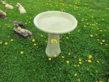 Bird Bath